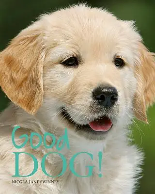 Bon chien ! - Good Dog!