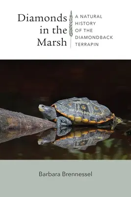 Diamants dans le marais : Une histoire naturelle de la tortue des marais - Diamonds in the Marsh: A Natural History of the Diamondback Terrapin