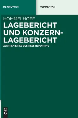 Lagebericht et Konzernlagebericht - Lagebericht und Konzernlagebericht