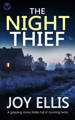 THE NIGHT THIEF un thriller policier captivant avec des rebondissements époustouflants - THE NIGHT THIEF a gripping crime thriller full of stunning twists