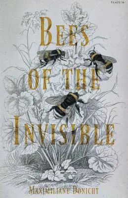Les abeilles de l'invisible - Bees of the Invisible