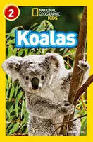 Koalas - Niveau 2 - Koalas - Level 2