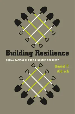 Construire la résilience : Le capital social dans la reconstruction après une catastrophe - Building Resilience: Social Capital in Post-Disaster Recovery