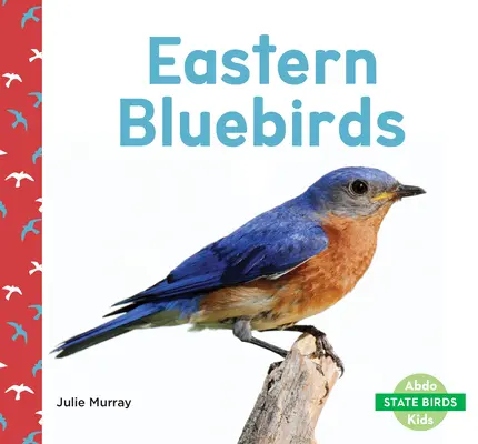 Le merle bleu de l'Est - Eastern Bluebirds