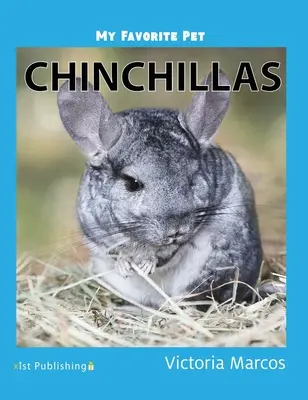 Mon animal de compagnie préféré : Les chinchillas - My Favorite Pet: Chinchillas