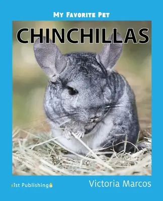 Mon animal préféré : les chinchillas : Chinchillas - My Favorite Pet: Chinchillas