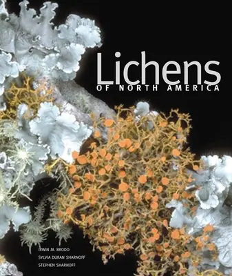 Lichens d'Amérique du Nord - Lichens of North America