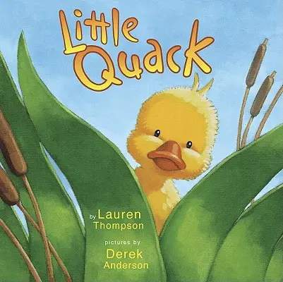 Petit Coin - Little Quack