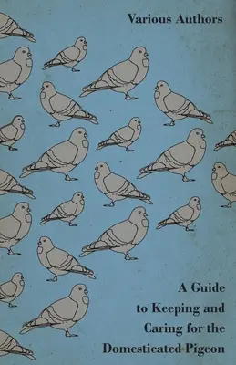 Guide pour l'élevage et le soin des pigeons domestiques - A Guide to Keeping and Caring for the Domesticated Pigeon