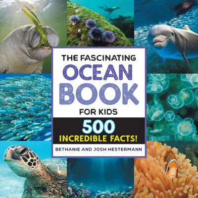 Le livre fascinant de l'océan pour les enfants : 500 faits incroyables ! - The Fascinating Ocean Book for Kids: 500 Incredible Facts!