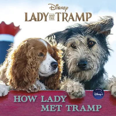 La Dame et le Clochard : Comment la dame a rencontré le clochard - Lady and the Tramp: How Lady Met Tramp