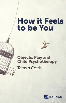 How It Feels to Be You : Objets, jeu et psychothérapie de l'enfant - How It Feels to Be You: Objects, Play and Child Psychotherapy