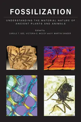 La fossilisation : Comprendre la nature matérielle des plantes et des animaux anciens - Fossilization: Understanding the Material Nature of Ancient Plants and Animals