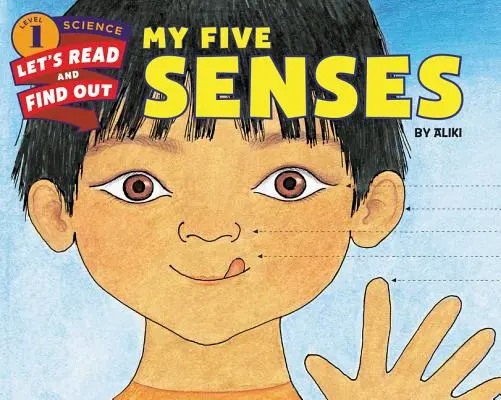 Mes cinq sens - My Five Senses