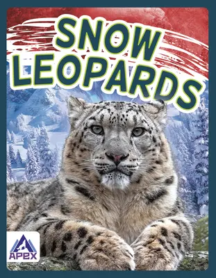 Léopards des neiges - Snow Leopards