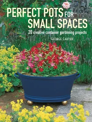 Des pots parfaits pour les petits espaces : 20 projets créatifs de jardinage en conteneur - Perfect Pots for Small Spaces: 20 Creative Container Gardening Projects