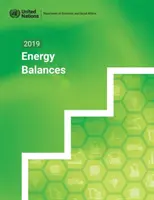 Bilans énergétiques 2019 - 2019 energy balances