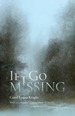 Si je disparais - If I Go Missing