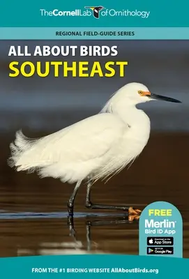 Tout sur les oiseaux du Sud-Est - All about Birds Southeast