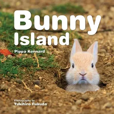 L'île aux lapins - Bunny Island