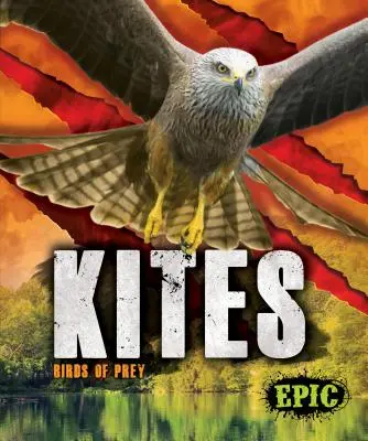 Cerfs-volants : oiseaux de proie - Kites: Birds of Prey