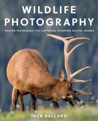 Photographie de la faune et de la flore : Techniques éprouvées pour capturer des images numériques époustouflantes - Wildlife Photography: Proven Techniques for Capturing Stunning Digital Images