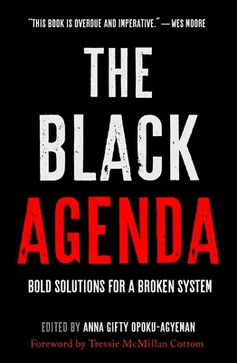 Le programme des Noirs : Des solutions audacieuses pour un système brisé - The Black Agenda: Bold Solutions for a Broken System