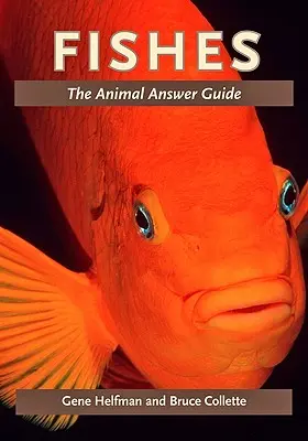 Poissons : Le guide des réponses sur les animaux - Fishes: The Animal Answer Guide