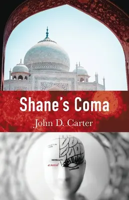 Le coma de Shane - Shane's Coma