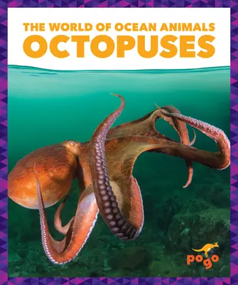 Octopus - Octopuses