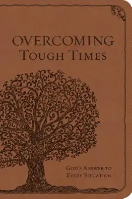 Surmonter les temps difficiles : La réponse de Dieu à chaque situation - Overcoming Tough Times: God's Answer to Every Situation