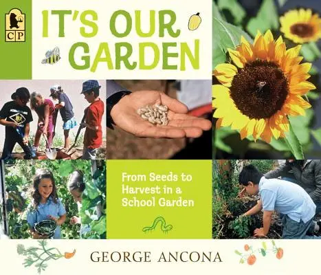 C'est notre jardin : De la semence à la récolte dans un jardin scolaire - It's Our Garden: From Seeds to Harvest in a School Garden