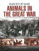 Les animaux dans la Grande Guerre - Animals in the Great War