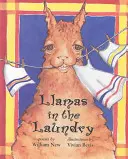 Des lamas dans la blanchisserie - Llamas in the Laundry