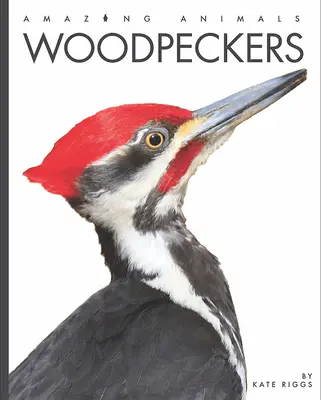 Les pics - Woodpeckers