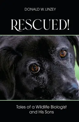 Rescued&nbsp;! Histoires d'un biologiste de la faune et de ses fils - Rescued!: Tales of a Wildlife Biologist and His Sons