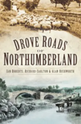 Les routes du Northumberland - Drove Roads of Northumberland