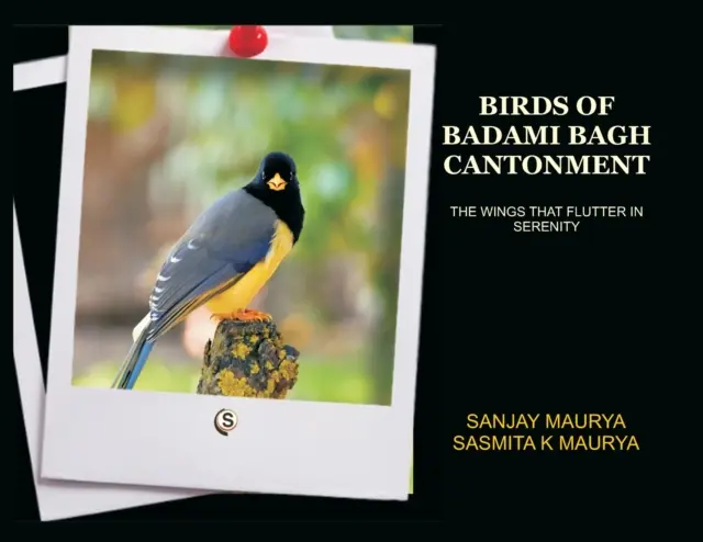 Les oiseaux du canton de Badami Bagh - Birds of Badami Bagh Cantonment