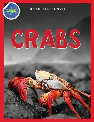 Cahier d'activités du crabe pour les enfants de 4 à 8 ans - Crab Activity Workbook for Kids ages 4-8