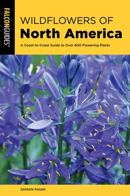 Les fleurs sauvages d'Amérique du Nord : Guide de plus de 500 plantes à fleurs d'un océan à l'autre - Wildflowers of North America: A Coast-To-Coast Guide to More Than 500 Flowering Plants