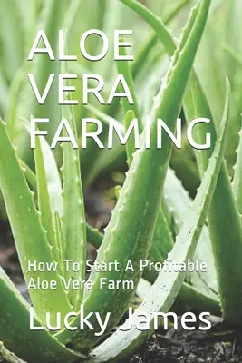 Culture de l'aloe vera : comment démarrer une culture rentable de l'aloe vera - Aloe Vera Farming: How To Start A Profitable Aloe Vera Farm