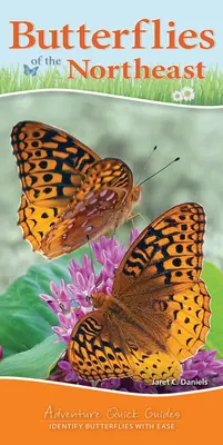 Papillons du Nord-Est : Identifier facilement les papillons - Butterflies of the Northeast: Identify Butterflies with Ease