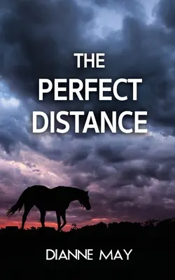 La distance parfaite - The Perfect Distance