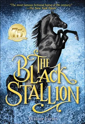 L'étalon noir - The Black Stallion