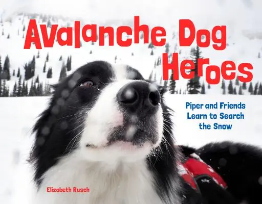 Les chiens héros des avalanches : Piper et ses amis apprennent à chercher dans la neige - Avalanche Dog Heroes: Piper and Friends Learn to Search the Snow