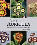 Auricula : histoire, culture et variétés - Auricula: History, Cultivation and Varieties