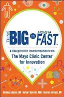 Voir grand, commencer petit, agir vite : Un plan de transformation du Centre d'innovation de la clinique Mayo - Think Big, Start Small, Move Fast: A Blueprint for Transformation from the Mayo Clinic Center for Innovation