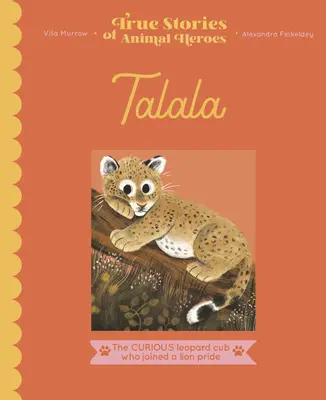 Talala : Le léopard curieux qui a rejoint une troupe de lions - Talala: The Curious Leopard Cub Who Joined a Lion Pride