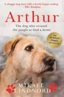 Arthur - Le chien qui a traversé la jungle pour trouver un foyer *SUITE D'UN GRAND FILM 'ARTHUR THE KING' AVEC MARK WAHLBERG*. - Arthur - The dog who crossed the jungle to find a home *SOON TO BE A MAJOR MOVIE 'ARTHUR THE KING' STARRING MARK WAHLBERG*