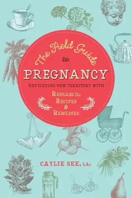 Le guide de la grossesse : Naviguer en territoire inconnu grâce à la recherche, aux recettes et aux remèdes - The Field Guide to Pregnancy: Navigating New Territory with Research, Recipes, and Remedies